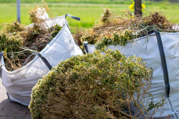 Best Hoarding Cleanup  in Weston Lakes, TX